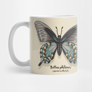 Pipevine Swallowtail Mug